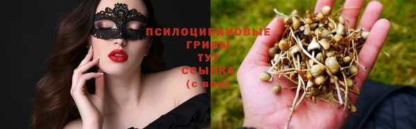 прущая мука Александровское