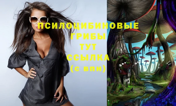 мескалин Иноземцево