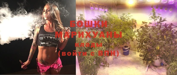 PSILOCYBIN Яранск