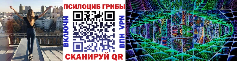 Купить закладки  Ряжск  Псилоцибиновые грибы мицелий 